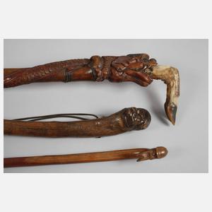 Konvolut Spazierstöcke