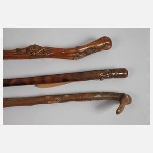 Konvolut Spazierstöcke