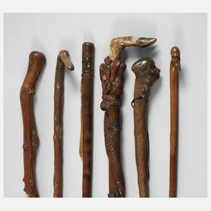 Konvolut Spazierstöcke