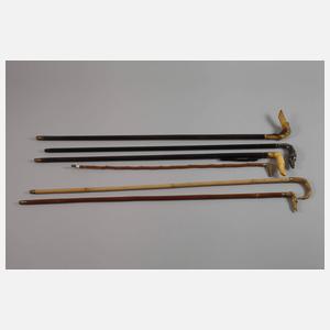 Konvolut Spazierstöcke