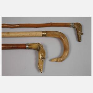 Konvolut Spazierstöcke