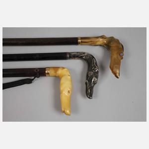 Konvolut Spazierstöcke