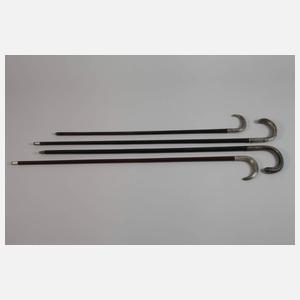 Konvolut Spazierstöcke