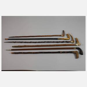 Konvolut Spazierstöcke
