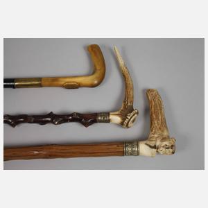 Konvolut Spazierstöcke