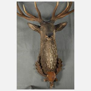 Hirschgeweih auf Keramikkopf