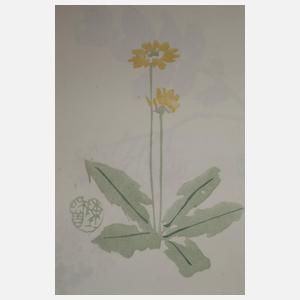 Sammlung Briefpapier