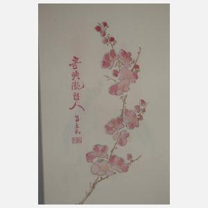 Sammlung Briefpapier