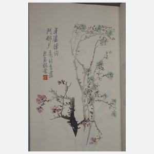 Sammlung Briefpapier