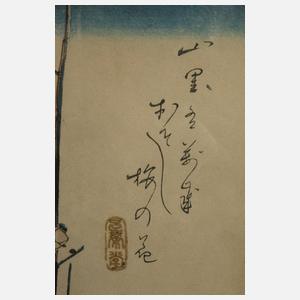 Drei Naturdarstellungen