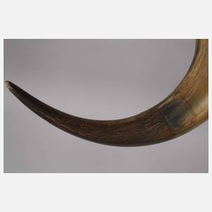 Pulverhorn Frankreich