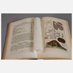 Pharmaceutische Waarenkunde