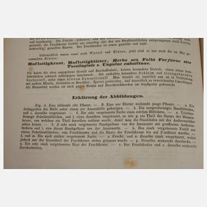 Pharmaceutische Waarenkunde