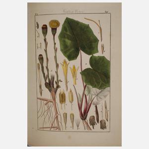 Pharmaceutische Waarenkunde