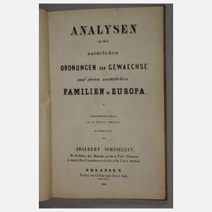 Analysen zu den natürlichen Ordnungen der Gewächse