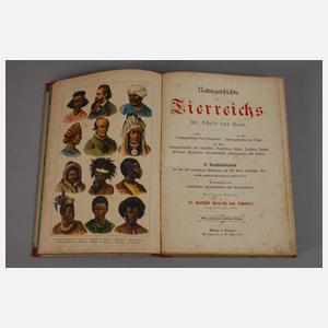 Naturgeschichte des Tierreichs