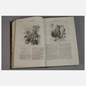 Merveilles de la Nature