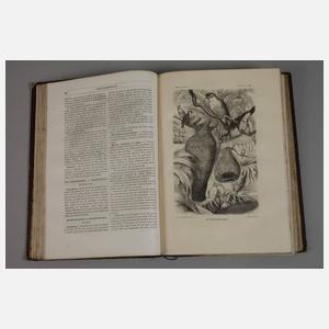 Merveilles de la Nature