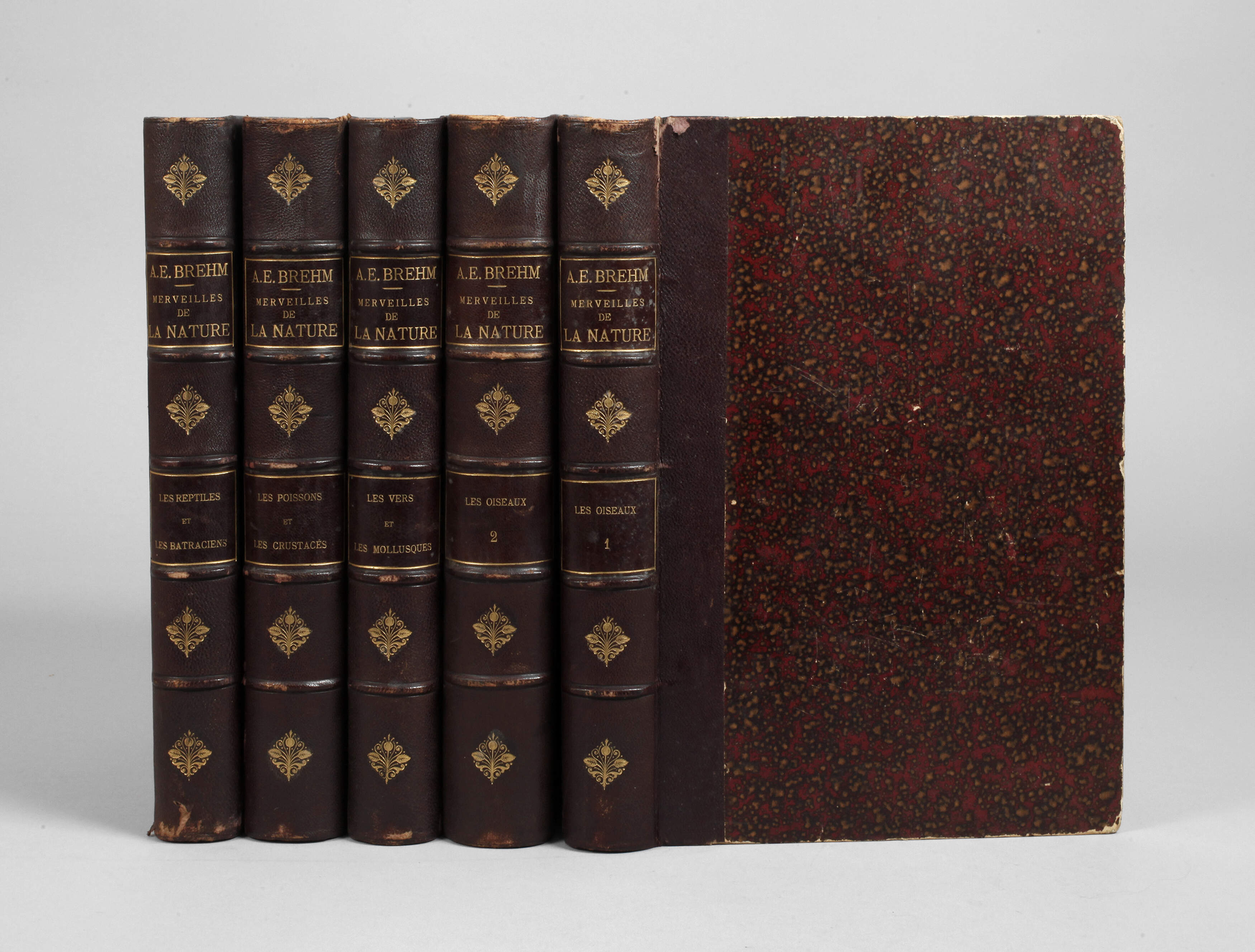 Merveilles de la Nature