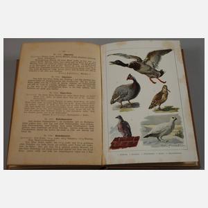 Acht alte Kochbücher