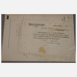 Dokumente Rittergut Augustensfreude Zilmsdorf