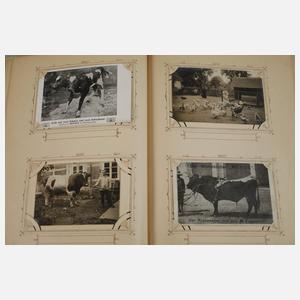 Ansichtskartenalbum Deutschland