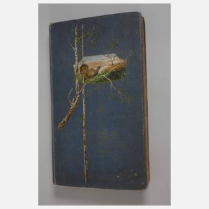 Ansichtskartenalbum Deutschland