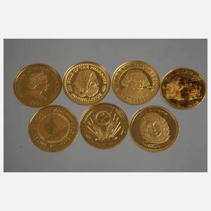 Sieben Münzen Gold 999