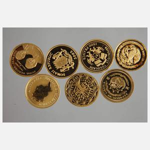 Sieben Münzen Gold 999