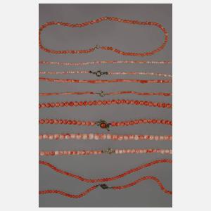 Konvolut Korallenketten Engelshaut