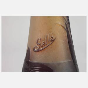 Vase Émile Gallé mit Libellendekor