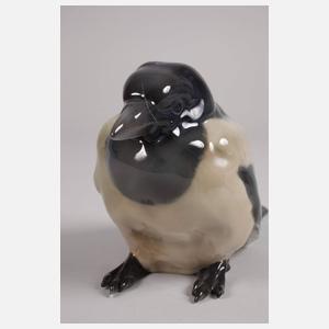 Rosenthal "Junge Elster"