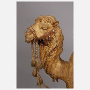 Amphora Kamelreiter während des Samums