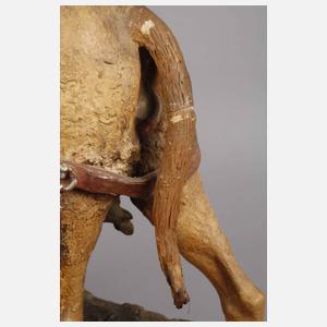 Amphora Kamelreiter während des Samums