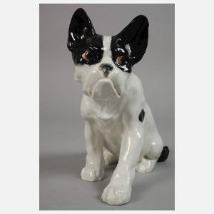 Bernhard Bloch französische Bulldogge