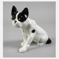 Bernhard Bloch französische Bulldogge111