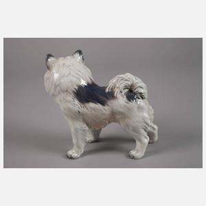 Kopenhagen Grönlandhund