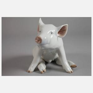 Kopenhagen sitzendes Schwein