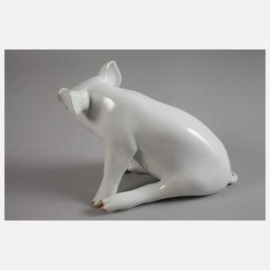 Kopenhagen sitzendes Schwein