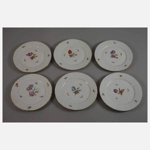 KPM Berlin Speiseservice "Blumen und Insekten"