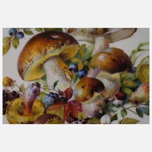 Meissen Speiseservice mit seltener Pilzmalerei