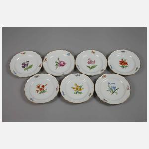 Meissen sieben Gedecke "Blume 1"