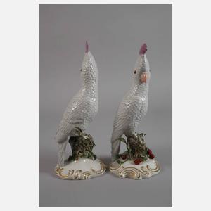 Nymphenburg Paar Kakadus