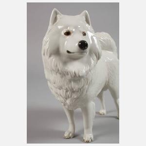 Nymphenburg "Polar-Spitz"