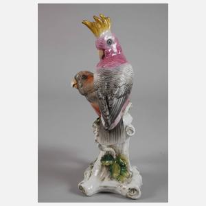 Thüringen Kakadugruppe