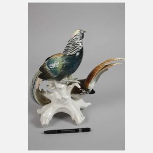 Volkstedt Fasanengruppe