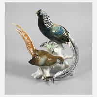 Volkstedt Fasanengruppe111