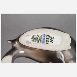 Kopenhagen Braunbär und Seelöwe