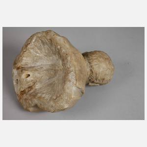 Kleine Marmorbüste "Vitellius Grimani"