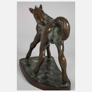 Viktor Eichler, Fohlen